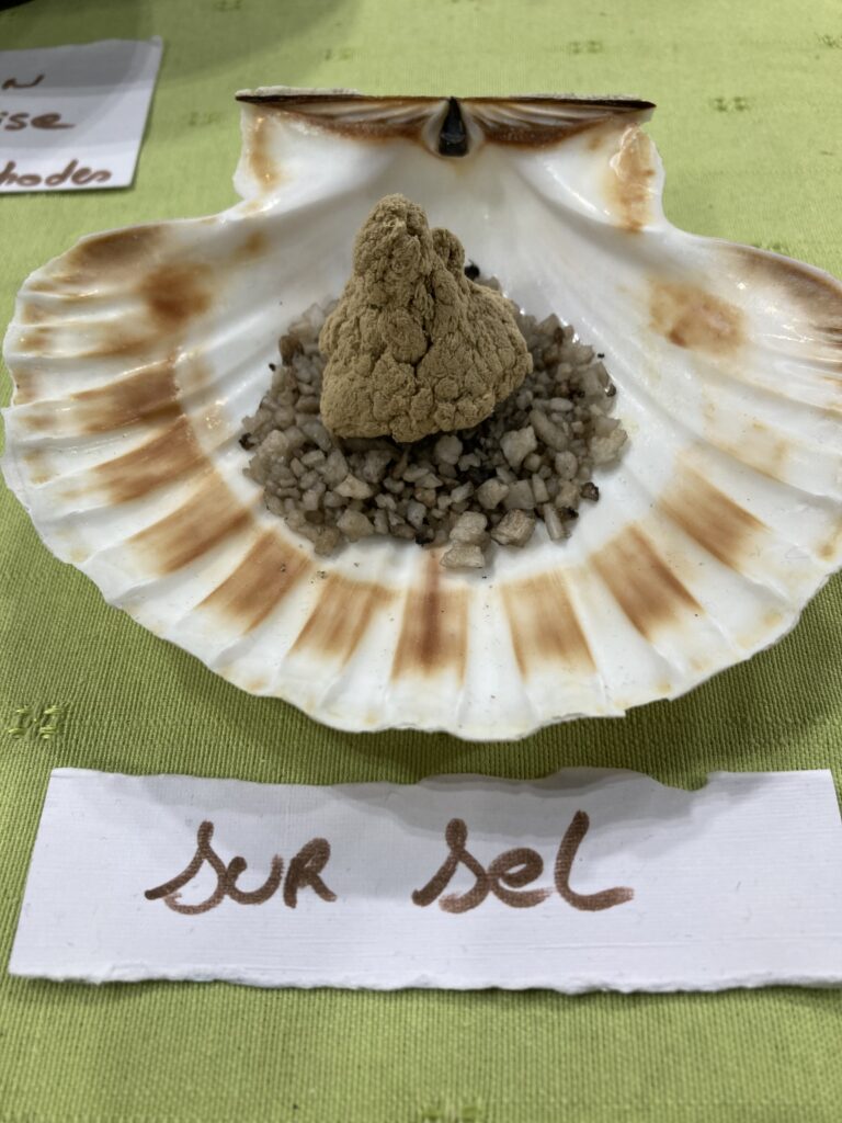 moxibustion en cône sur sel