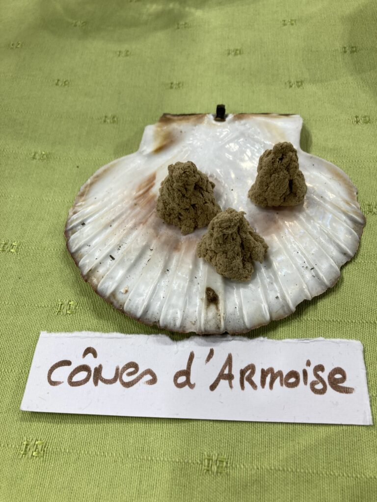 cônes d'armoise